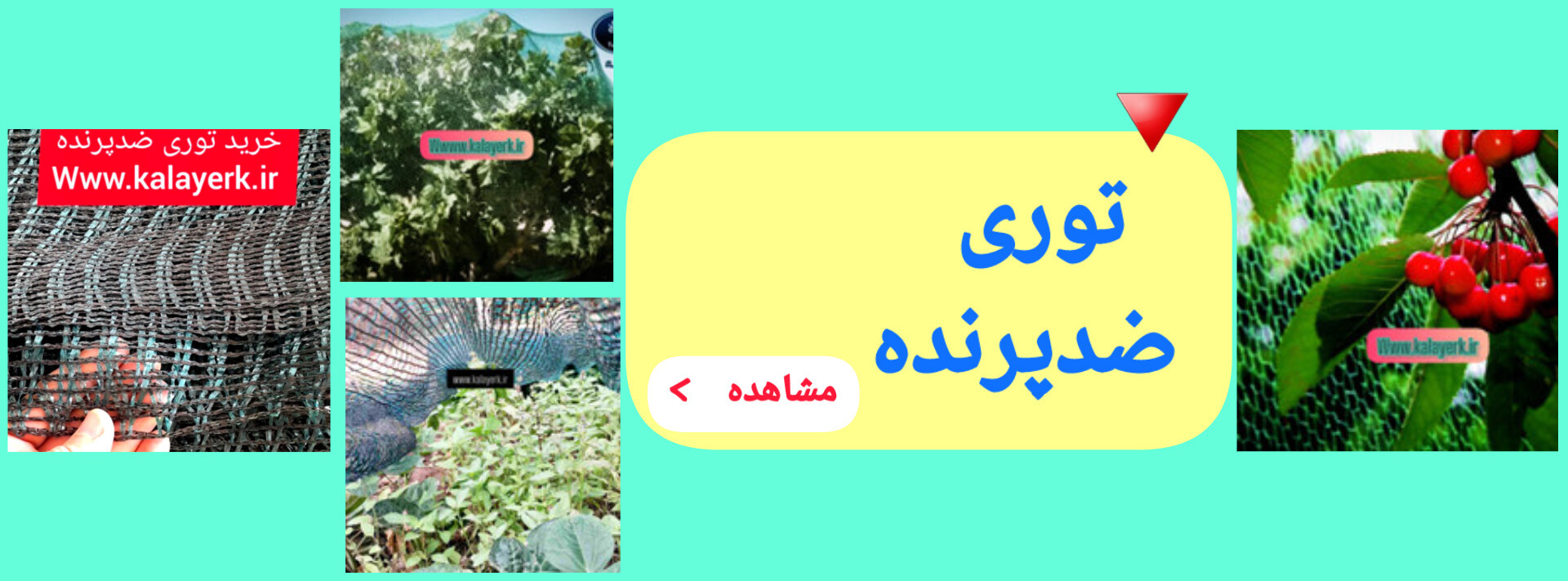 توری ضدپرنده