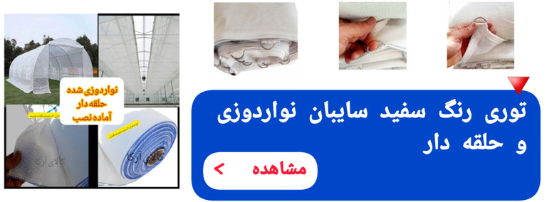 توری سفید