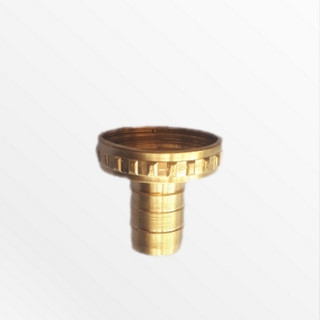 سر شیر شلنگ خور
