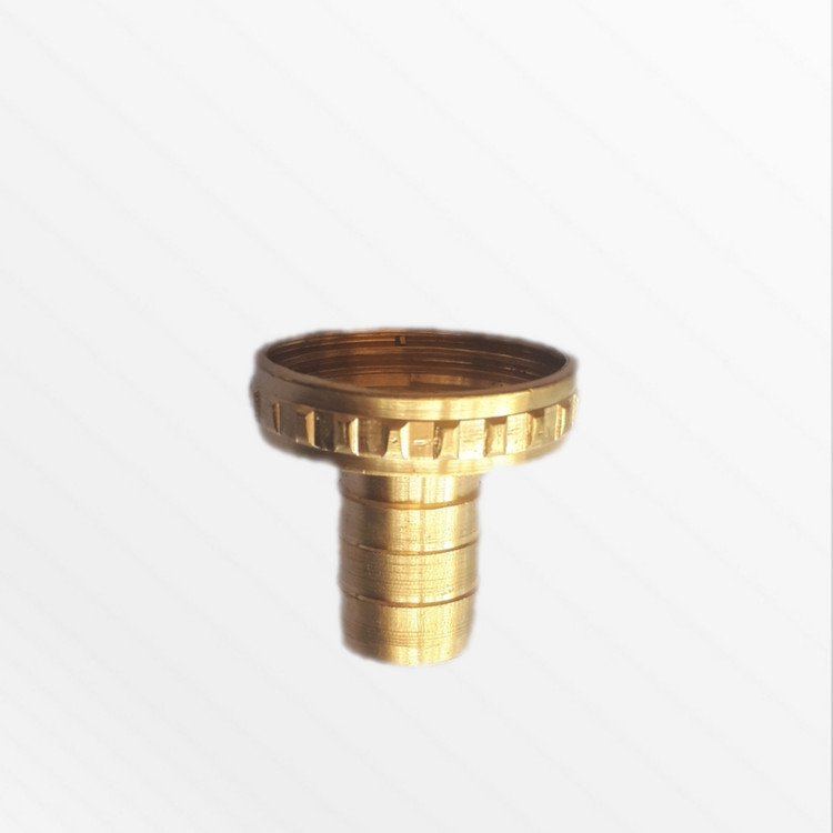 سر شیر شلنگ خور