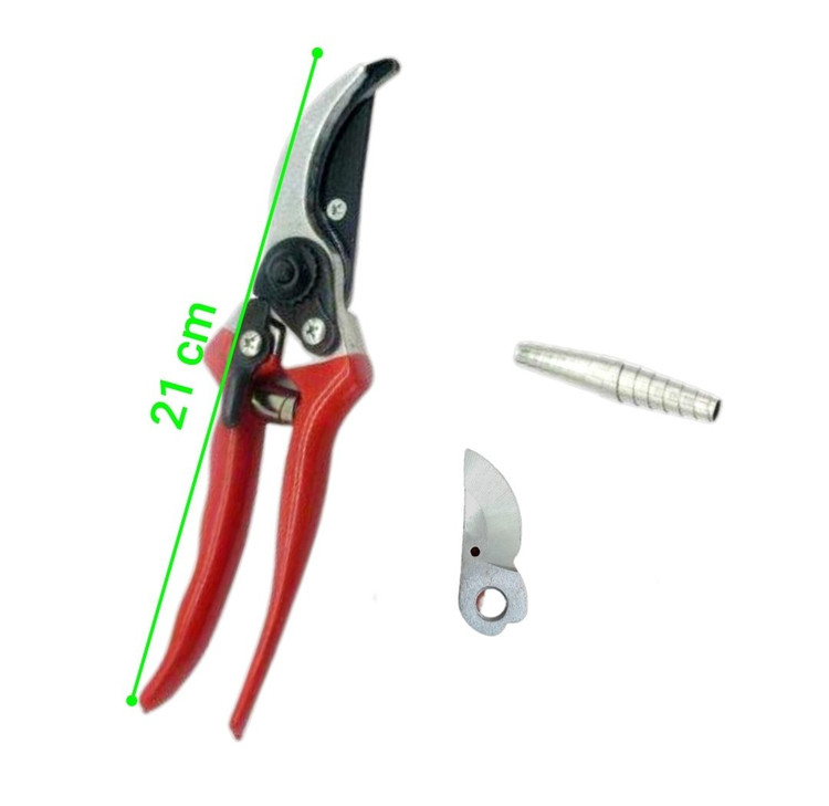 قیچی باغبانی