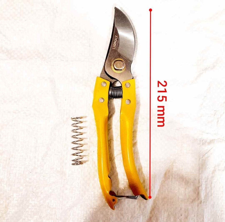 قیچی باغبانی