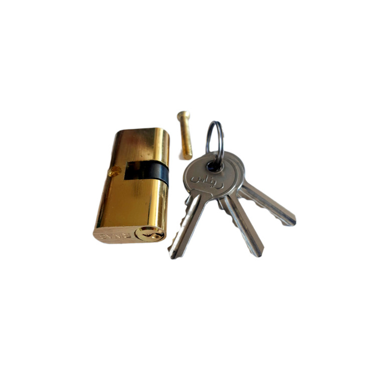 مغزی در آهنی