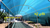توری سبز نواردوزی شده و حلقه دار