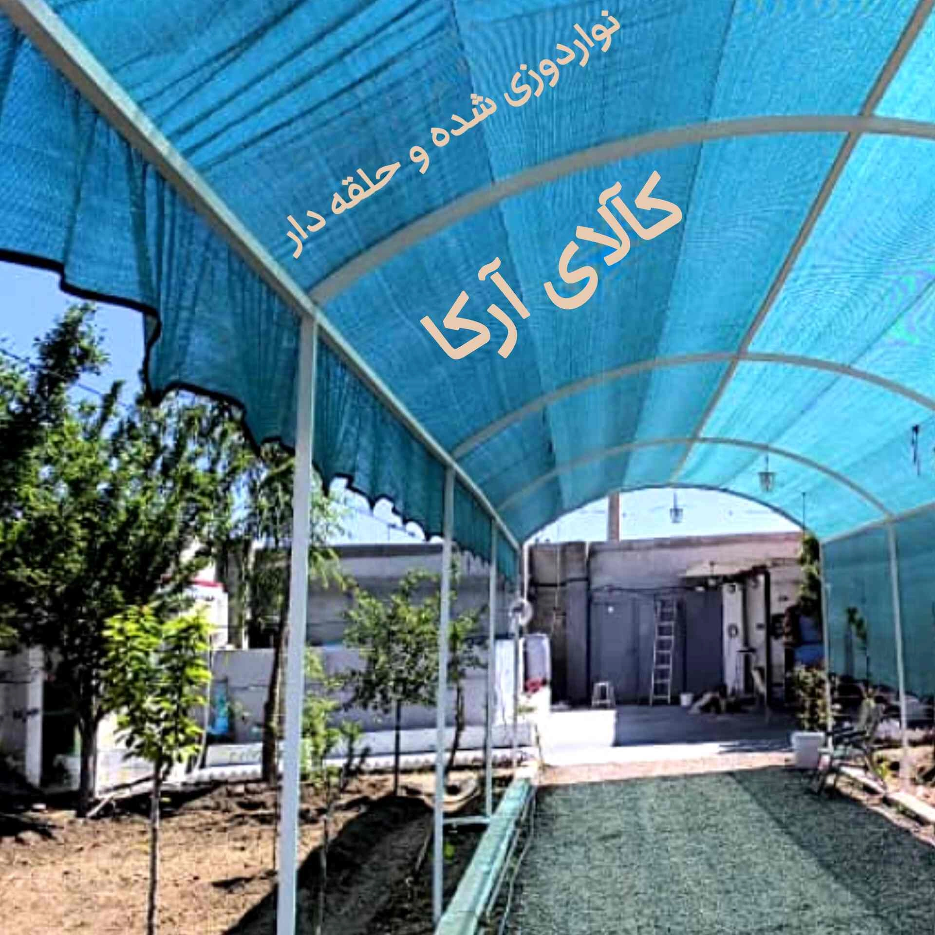 تور سبز حلقه دار