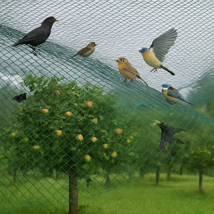 تور ضد پرنده