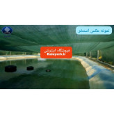 تور سبز