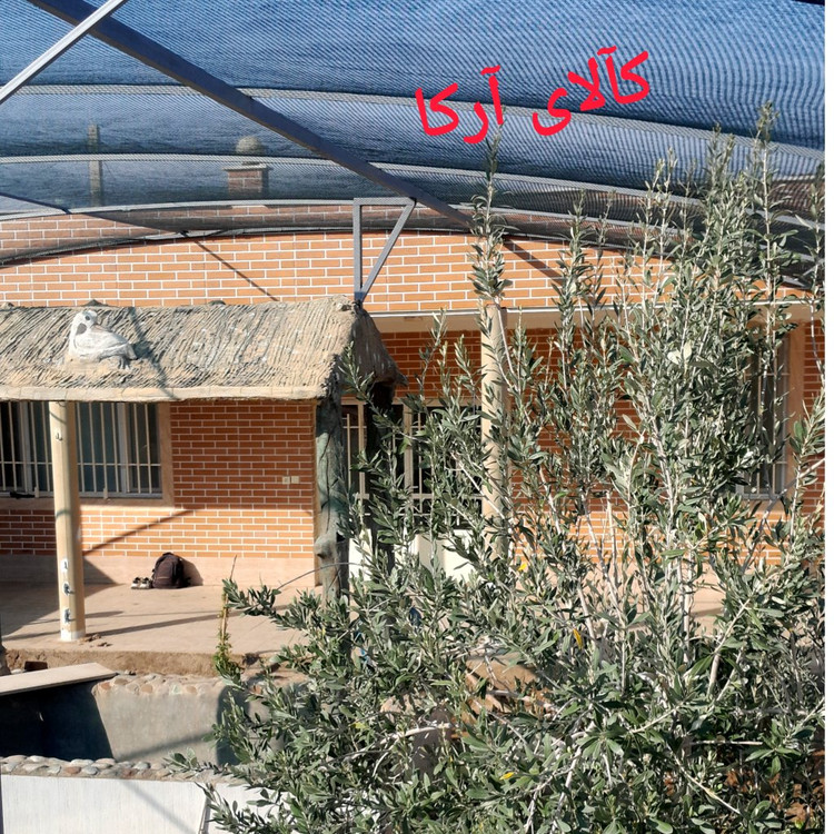 توری ضدپرنده