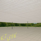 تور سفید